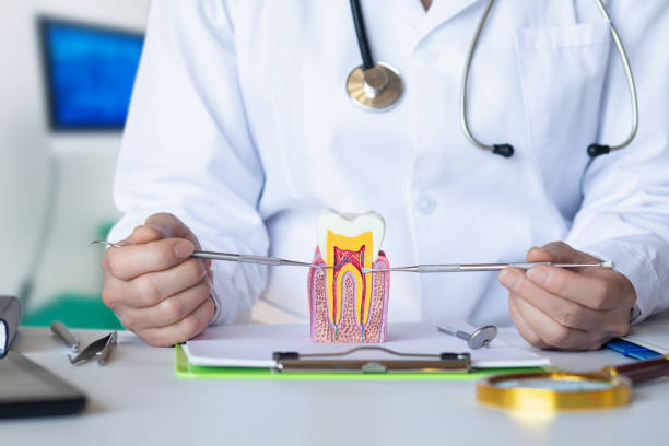Best Emergency Tooth Extraction in Watseka, IL